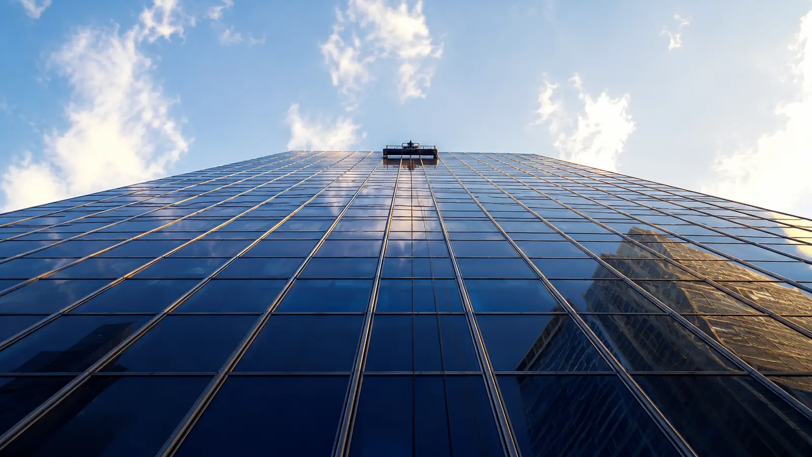 Curtain wall tower glass reached by rope access in Melbourne