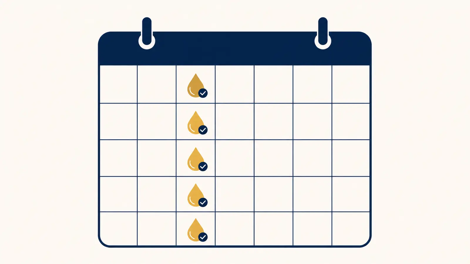 Window cleaning program calendar showing scheduled visits for a Melbourne building